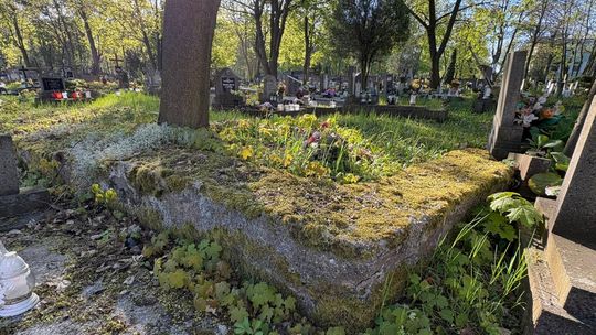 Tajemnicza konstrukcja na śródmiejskim cmentarzu. ZDJĘCIA