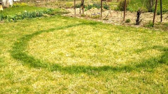 Tajemnicze kręgi na kozielskim ogródku działkowym