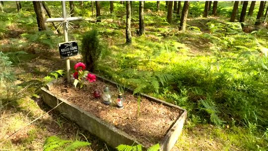 Tajemniczy grób w środku lasu. Kto w nim spoczywa? FILM