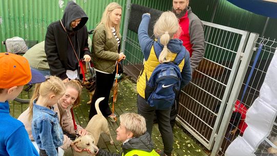 Tego się nie spodziewali. Powalająca frekwencja i deklaracje adopcji. ZDJĘCIA