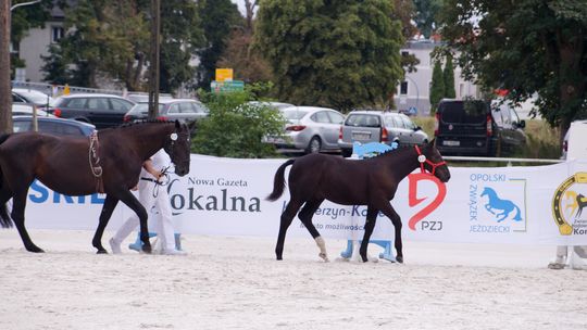 Widzowie podziwiali iście końską rewię mody. ZDJĘCIA