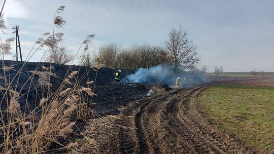 Trzy pożary jednego dnia. Podpalacz nie odpuszcza