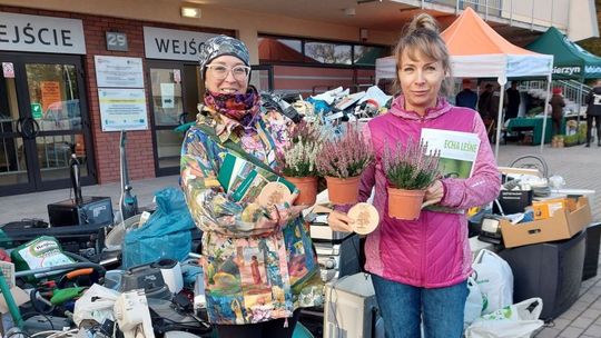 To ostatnia akcja wymiany elektroodpadów na sadzonki w tym roku