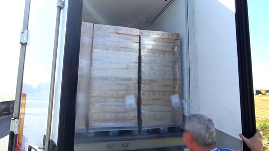 Transport lodów z Niderlandów do Szwecji zatrzymany w Reńskiej Wsi
