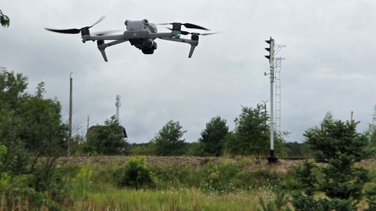 Trwają poszukiwania psa, który miał być przywiązany do drzewa. W akcji mieszkańcy i policja