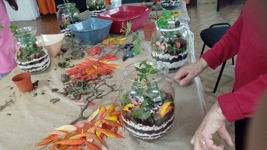 Tworzyli kompozycje roślinne w słoikach. Warsztaty w bibliotece