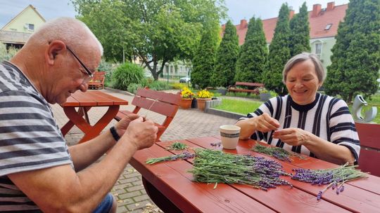„Tydzień lawendowy” w DDP nr 5. ZDJĘCIA