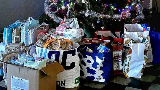 Uczestnicy akcji „Paczuszka dla Maluszka” w PSP nr 12 nie zawiedli Uczestnicy akcji „Paczuszka dla Maluszka” w PSP nr 12 nie zawiedli