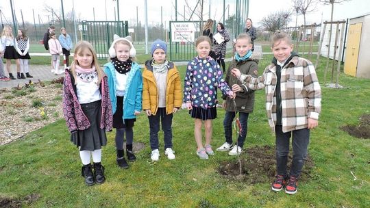 Uczniowie z Kłodnicy przy szkole sadzą drzewa, kwiaty i zioła