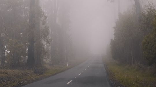 Uwaga na mgłę. W nocy i nad ranem na drogach może być niebezpiecznie