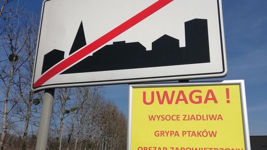 UWAGA!!! Wirus ptasiej grypy na Śląsku UWAGA!!! Wirus ptasiej grypy na Śląsku
