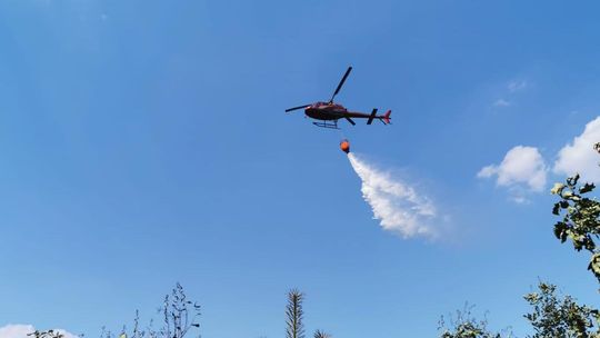 W akcji udział brało kilka zastępów straży, dromader i helikopter W akcji udział brało kilka zastępów straży, dromader i helikopter