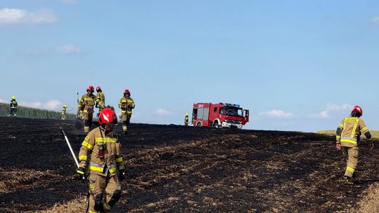 W gminie Polska Cerekiew doszło do pożaru ścierniska o powierzchni ok. 1,5 ha. ZDJĘCIA