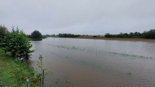 W Rogach znów podtopienia. Historia lubi się powtarzać