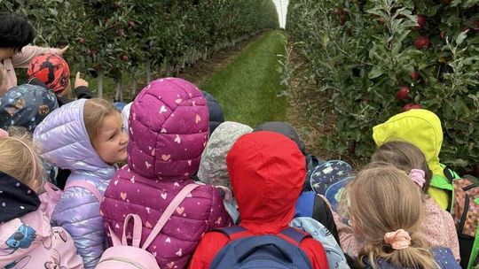 W sadzie jak w bajce. ZDJĘCIA