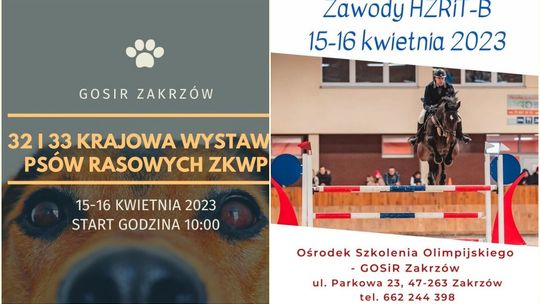 W ten weekend dwa duże wydarzenia w GOSiR-ze w Zakrzowie