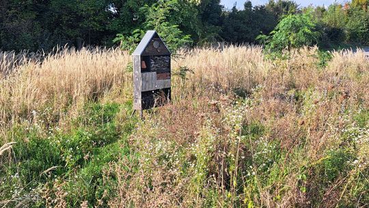 Ważne, że owady i ptaki są zadowolone. Zyskuje też klimat
