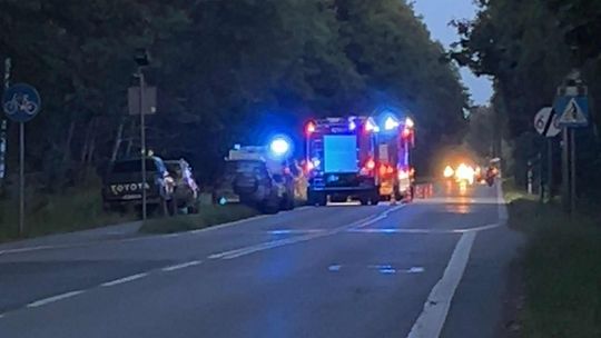 We wczorajszym pożarze spłonęło 9 arów lasu. Niewykluczone, że było to celowe podpalenie