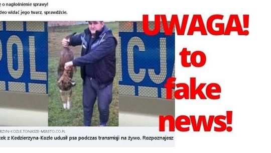 Wiadomość o 42-latku z Kędzierzyna-Koźla, który udusił psa, to próba oszustwa!