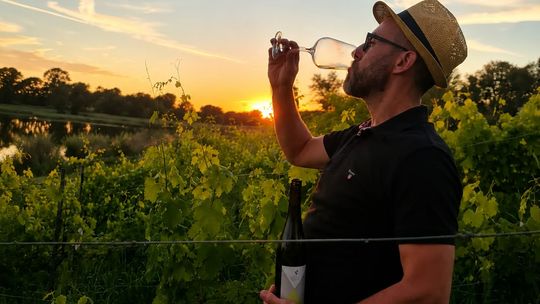 Winnica Estro otwiera się na gości. Zaproszenie na piknik z degustacją win i serów