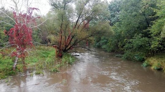 Woda zalała ponad 500 hektarów. W gminie wciąż mają powody do obaw