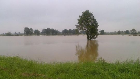 Wody Polskie rozpoczynają prace na Straduni i jej dopływie - Potoku Ligockim