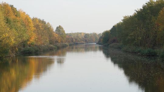 Wody Polskie w Gliwicach prowadzą analizę osadów dennych Kanału Gliwickiego