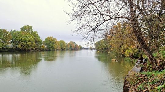 Wojewoda zniósł zakaz korzystania z wód starorzecza Odry