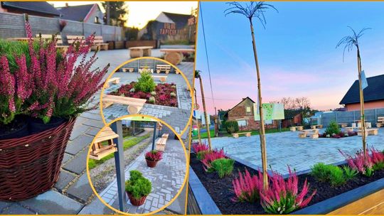 Wspólna przestrzeń, wspólna radość. Nowy skwer w Solarni. ZDJĘCIA