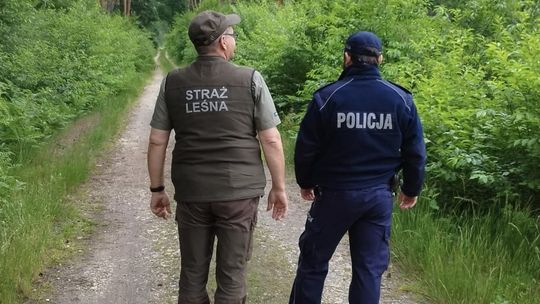 Wspólne patrole policjantów i strażników leśnych