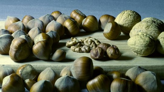 Wszystko co musisz wiedzieć o magnezie