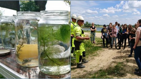 Wycieczka śladami sukcesji ekologicznej w żwirowni w CEMEX Polska w Bierawie