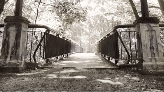 Wyjątkowe partnerstwo na rzecz ochrony różnorodności biologicznej Wyjątkowe partnerstwo na rzecz ochrony różnorodności biologicznej