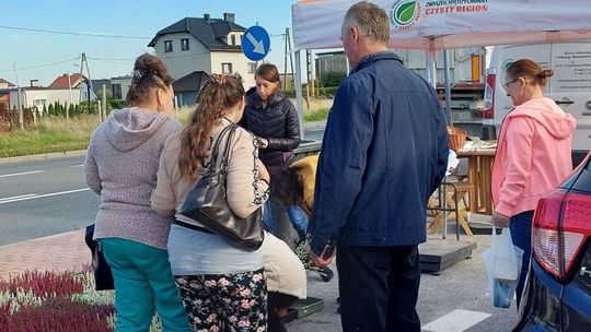 Wymiana elektrośmieci na sadzonki w Pawłowiczkach i Reńskiej Wsi