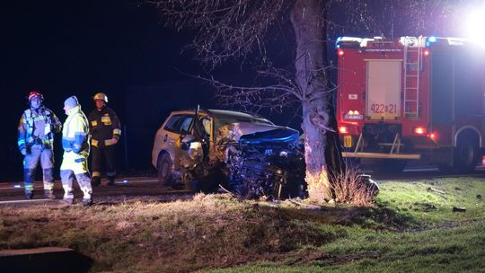 Wypadek na DK 40. Auto uderzyło w drzewo