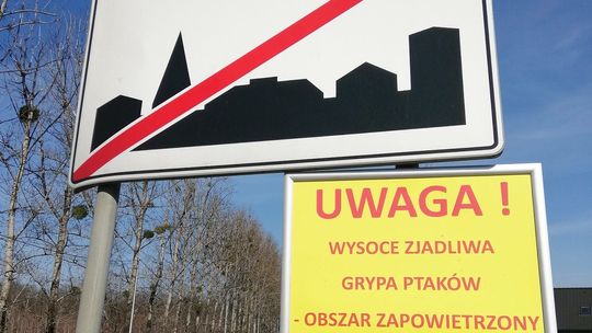 Cały powiat znów w strefie objętej zakażeniem wysoce zjadliwą grypą ptaków