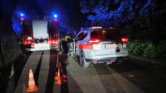 Interwencja służb ratunkowych w Dziergowicach Interwencja służb ratunkowych w Dziergowicach