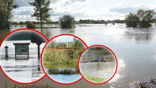 Z wielkim niepokojem w Dziergowicach i Przewozie spoglądają na Odrę. ZDJĘCIA