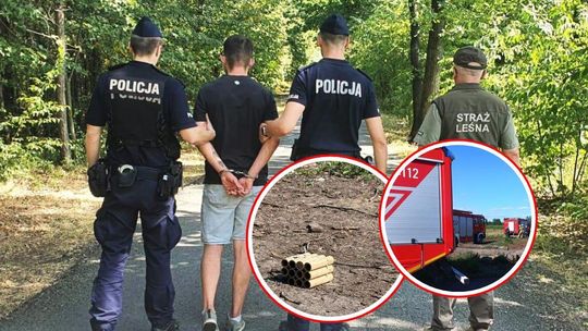 Zabawa fajerwerkami zakończyła się pożarem lasu. Mieszkaniec Kędzierzyna-Koźla stanie przed sądem