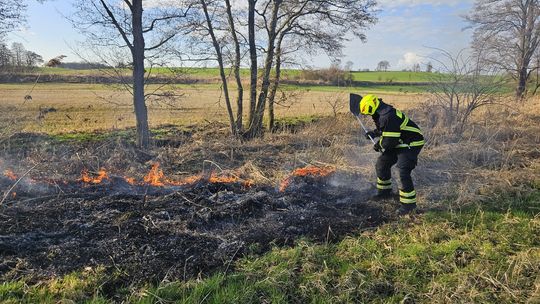 Zaczęły się pożary traw. Strażacy apelują o niewypalanie!