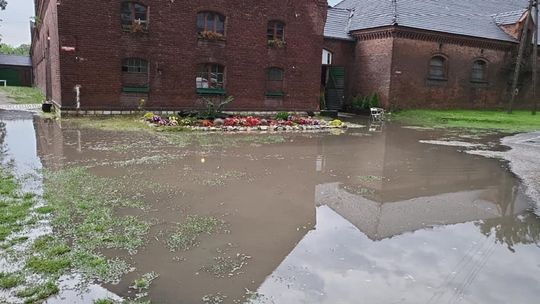 Zalana stadnina koni na kozielskiej wyspie. ZDJĘCIA