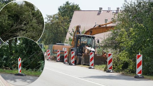 Zanim powstanie ścieżka rowerowa, musi zniknąć trochę drzew. ZDJĘCIA