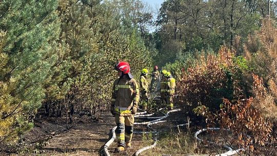 Zaostrzenie kar dla osób, które odpowiadają za spowodowanie zagrożenia pożarowego Zaostrzenie kar dla osób, które odpowiadają za spowodowanie zagrożenia pożarowego