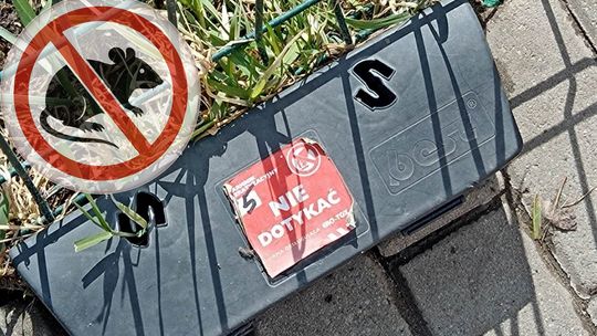 Zarządco, pamiętaj o obowiązkowej deratyzacji!