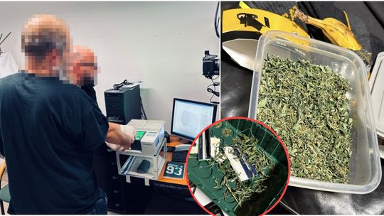 Nie tylko poszukiwany, ale też plantator - policja odkryła narkotykowy magazyn. ZDJĘCIA i WIDEO