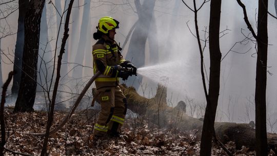 Zdaniem strażaków rok 2022 był spokojniejszy, niż poprzedni