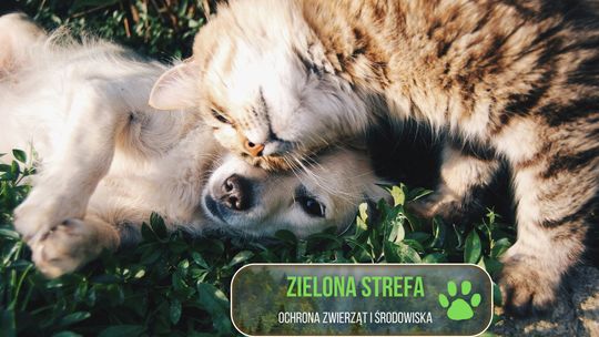 Zielona strefa - ochrona zwierząt i środowiska