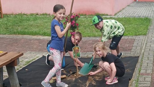 Zielone pracownie w Kędzierzynie-Koźlu – edukacja bliżej natury