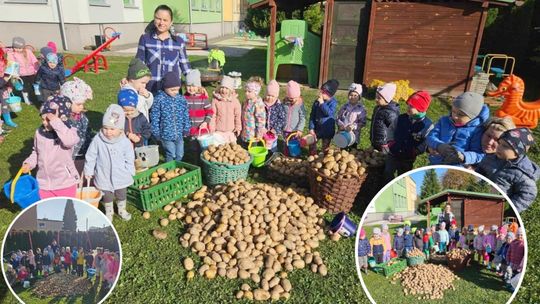 Ziemniaczana przygoda w Cisku. Radość, nauka i wspólna zabawa dla najmłodszych