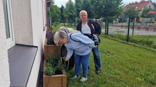 Ziołowe sekrety kędzierzyńskich seniorów. ZDJĘCIA
